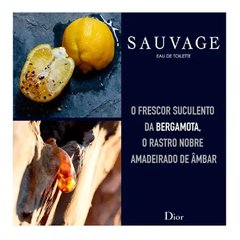 Sauvage Dior - Perfume Masculino - Eau de Toilette - comprar online
