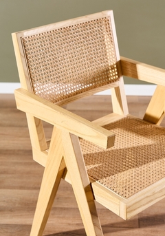 Silla Coihue en internet