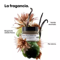 MASCARA ABSOLUT MOLECULAR X 250ML - comprar online