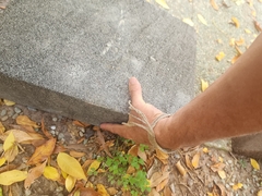 PIEC16 - Bloque de Lava Stone Honed en internet