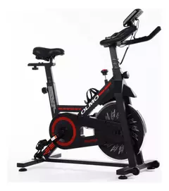 BICI FIJA OLMO INDOOR SPIRIT 60