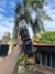 Imagen de Travel Mug Stanley 473 ml. ORIGINAL
