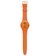 SUOO700 PUMPKIN REBEL en internet