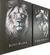 SET DE ANIMALES FRASES MOTIVACION - comprar online