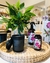 VELA HOTEL CASA CHIC - comprar online