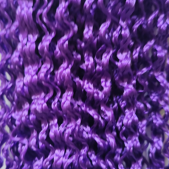 Micro Zizi Mônica Braid na internet