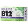 Blue-Vit B12 Suplemento Dietario Sabor Ananá en Comprimidos Masticables - comprar online
