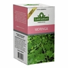 Saint Gottard Te de Moringa - comprar online