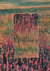 Colagem #00 {A5} - comprar online
