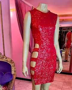 Imagen de Vestido Ludmila micropalliettes Art. 17476