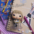 FUNKO POP! PLUS BRITNEY SPEARS - BABY ONE MORE TIME #444 - Box Importado