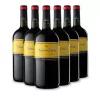 VINO TINTO VIÑAS DE BALBO CAJA X 6