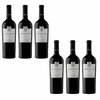 CAJA ELEMENTOS MALBEC X6