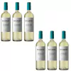 CAJA VINO BENJAMIN DULCE X6