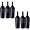 CAJA VINO TRUMPETER MALBEC X 6