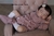 bebê reborn kit sarah - comprar online