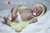 Imagem do bebe kit Lil' Treasure