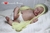 bebe kit Lil' Treasure - comprar online