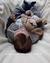 Bebê kit Joseph awake na internet