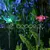 Mariposa a energía solar Cambia De Color RGB en internet