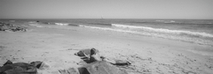 Banner de la categoría New in