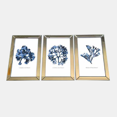 Cuadros Blue Coral  (setx3)