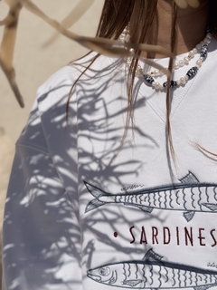 BUZO SARDINAS en internet