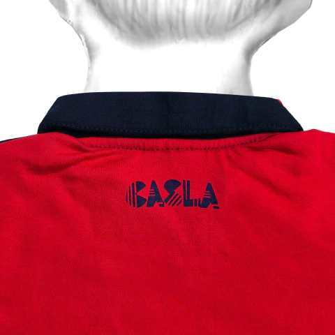 REMERA CUELLO V CASLA - comprar online