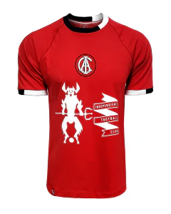 REMERA ESTAMPADA CAI (25%)