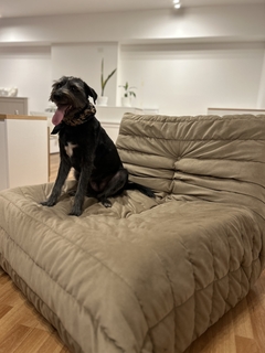 Sofá Bella - Dynamo Muebles