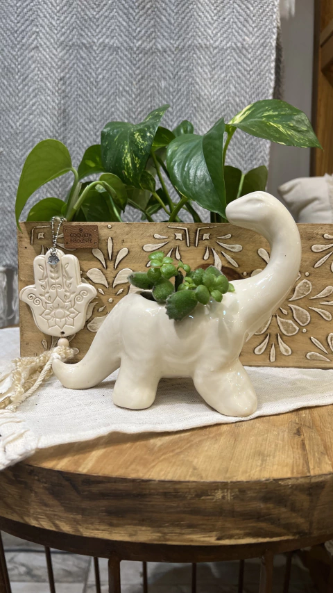 Carrusel Coqueta Insolente