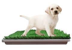 5650 // CESPED SINTETICO MASKOT PARA PAÑO. PRESENTACION: EN BOLSA. - comprar online