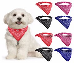 2997 // BLISTER COLLAR PAÑUELO X12 - comprar online