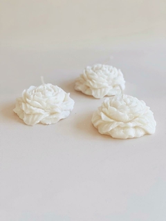 HANDCRAFTED COLLECTION \ NEW EDITION en internet