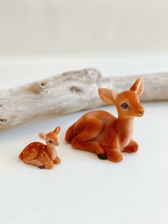 Imagen de BAMBIS en el Bosque Encantado