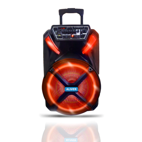 Hendrix 12" Portable Speaker