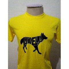 camisa colorida escoteiro