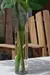 Florero De Vidrio Ø10xh45 Cm