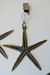 Set 4 Pesas Para Mantel Estrella de mar Bronce - tienda online