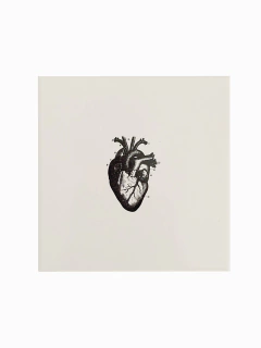 Azulejo Coração Anatômico - comprar online