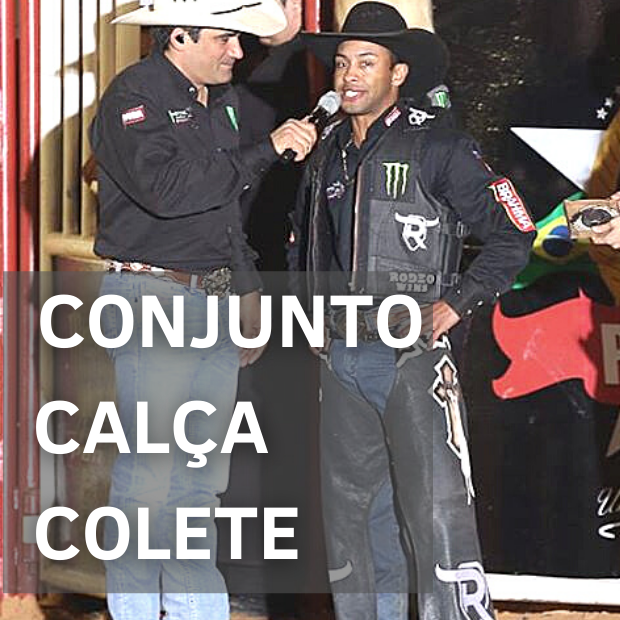 Banner de Rodeo Wins