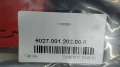 6027.001.202.00.8 CORREIA na internet