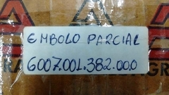 6007.001.382.00.0 EMBOLO PARCIAL na internet