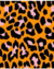 Faixa De Cabelo Yoga Animal Print Tiara Modelo Turbante Turban - comprar online