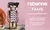 Fame Rabanne – Perfume Feminino – Eau de Parfum 80ml na internet
