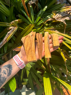 Palo santo in natura