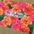 Imagem do Canga de Praia Personalizada | Estampa Hibiscus Tropical
