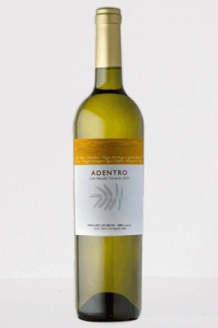 Adentro- Gran Nevado Torrontés - comprar online