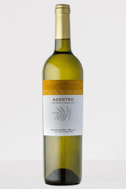 Adentro- Gran Nevado Torrontés - comprar online