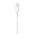 Auriculares Apple Earpods con Lightning en internet